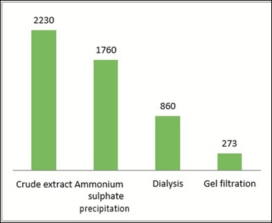 Journal of New Developments in Chemistry-Laccase