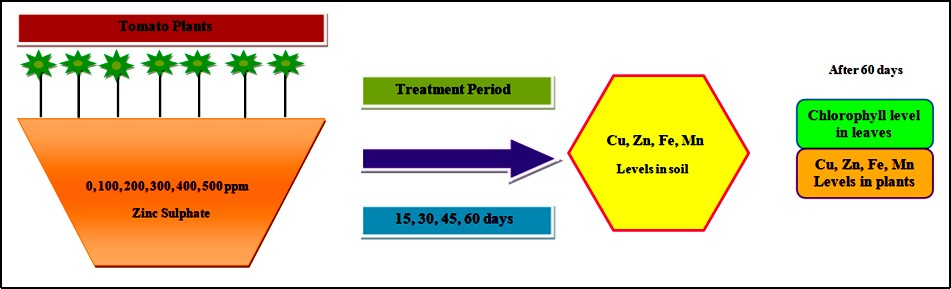Journal of Public Health International-Phytoremediation