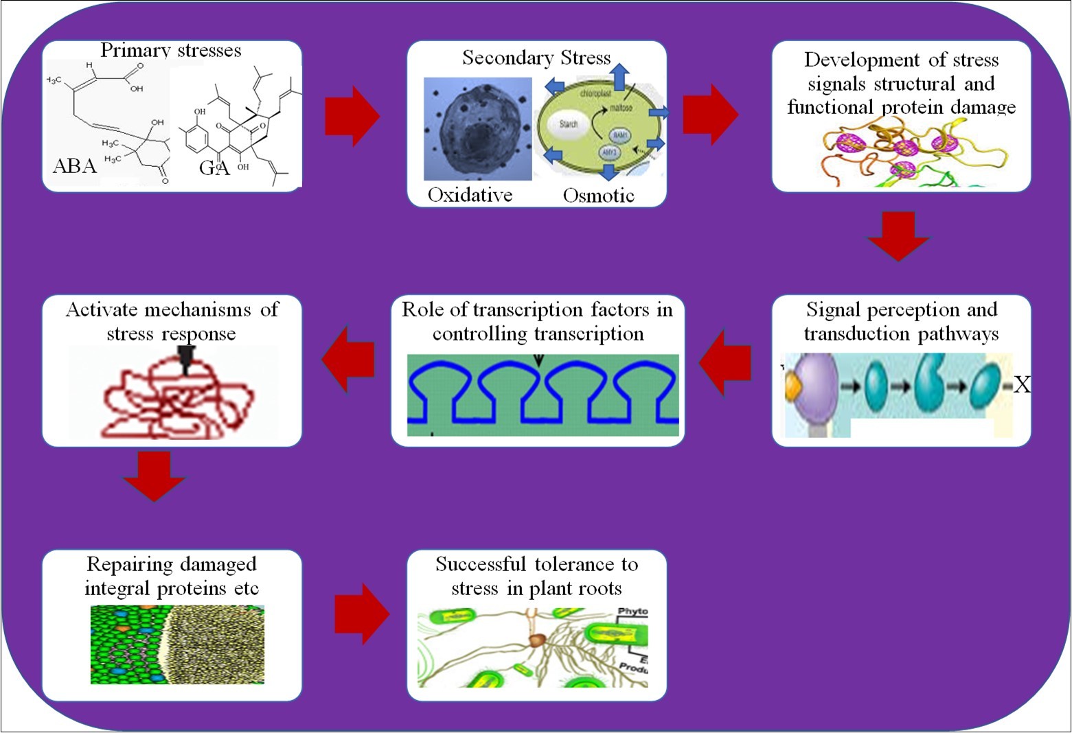 Journal of Biotechnology and Biomedical Science-Abiotic stress