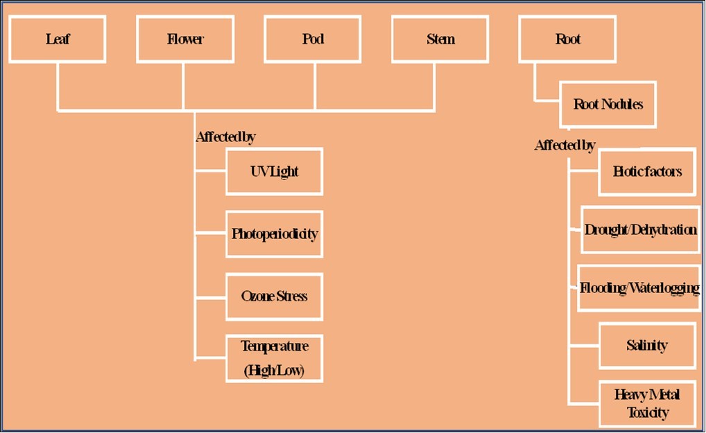 Journal of Biotechnology and Biomedical Science-Abiotic stress