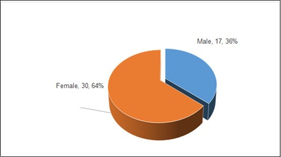 International Journal of Infection Prevention-Healthcare Associated Infections