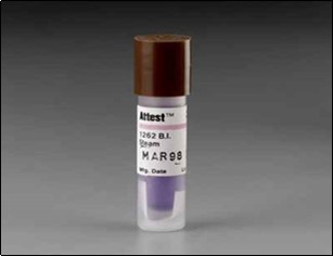 International Journal of Infection Prevention-Healthcare Associated Infections