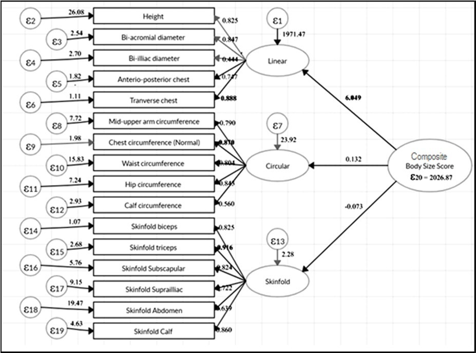 International Journal of Human Anatomy-Anthropometric traits