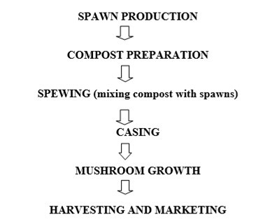 International Journal of Nutrition-Calocybe indica