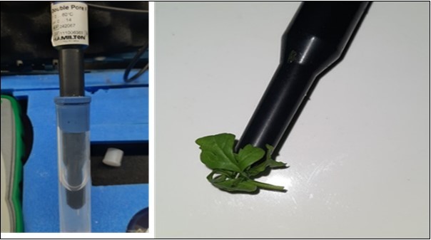 Journal of Agronomy Research-UV