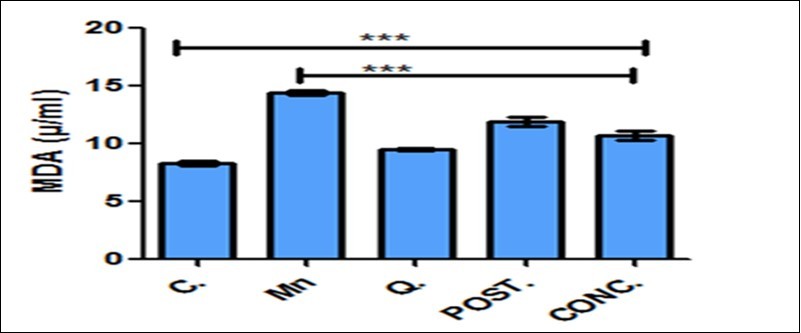 International Journal of Human Anatomy-Neurotoxicity