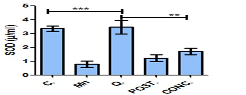 International Journal of Human Anatomy-Neurotoxicity