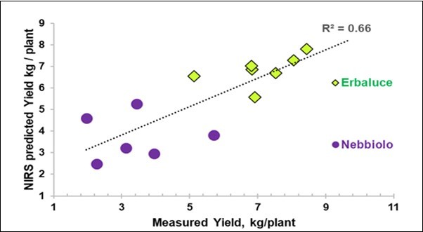 Journal of Agronomy Research-Vine