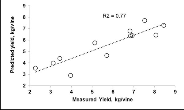 Journal of Agronomy Research-Vine