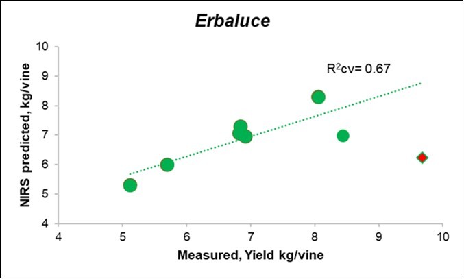 Journal of Agronomy Research-Vine