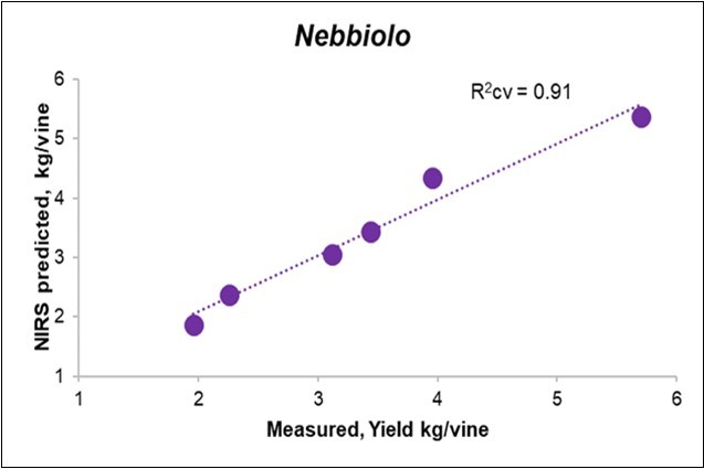 Journal of Agronomy Research-Vine