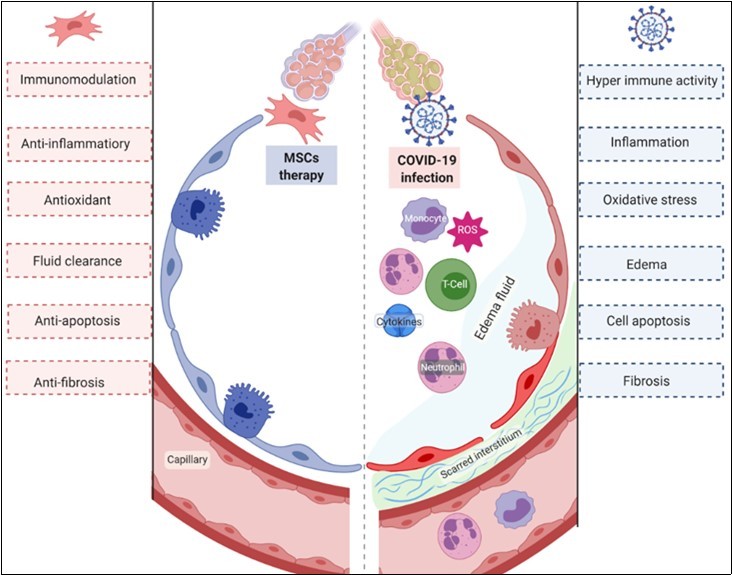 International Journal of Coronaviruses-SARS-CoV-2