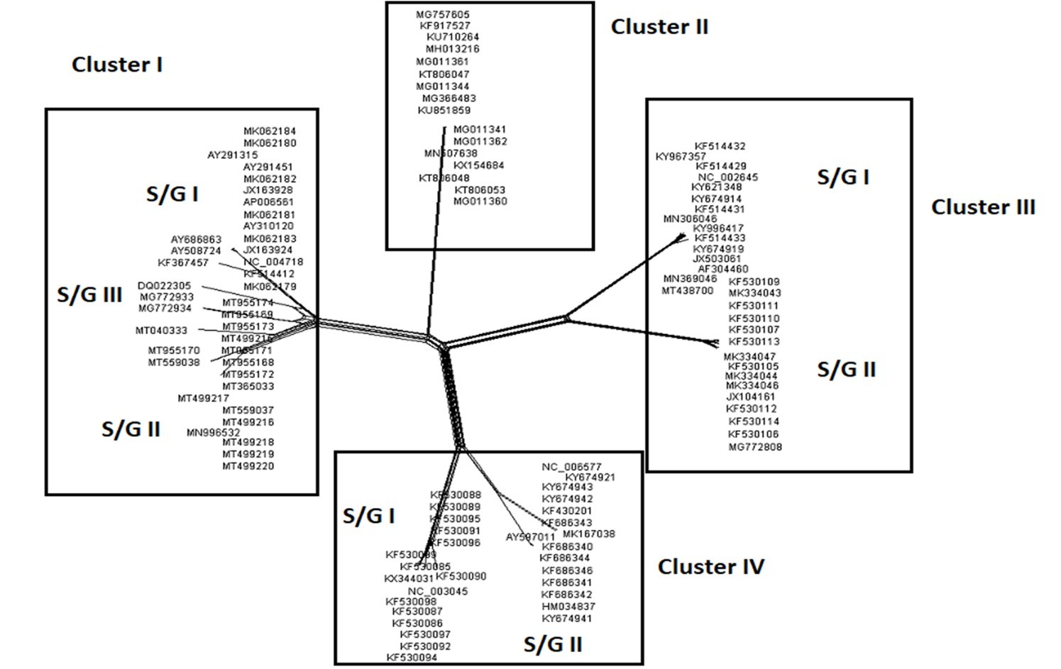 International Journal of Coronaviruses-evolution