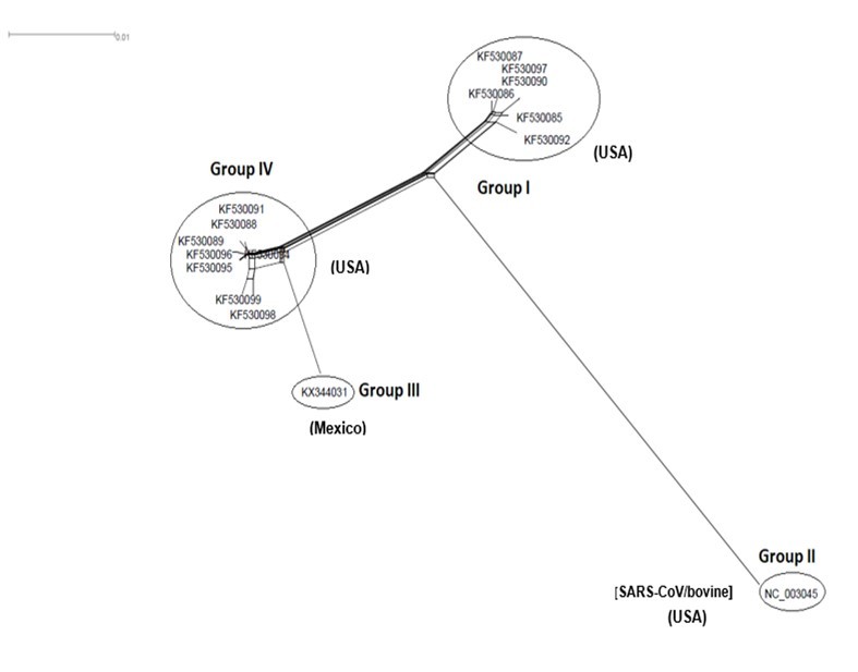 International Journal of Coronaviruses-evolution