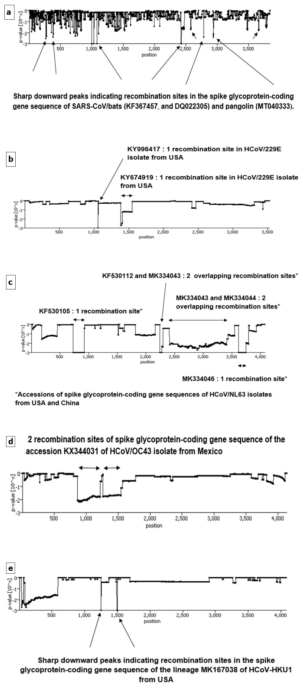 International Journal of Coronaviruses-evolution