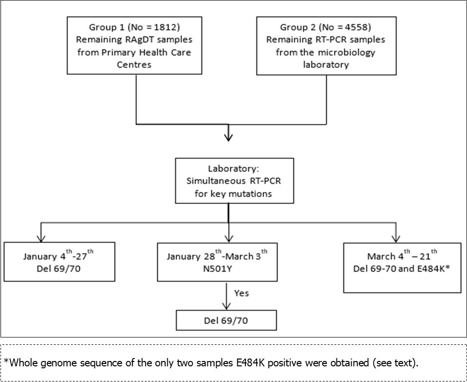 International Journal of Clinical Microbiology-COVID-19