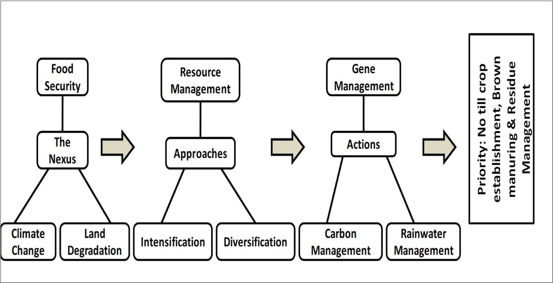 Journal of Agronomy Research-Aggregate stability
