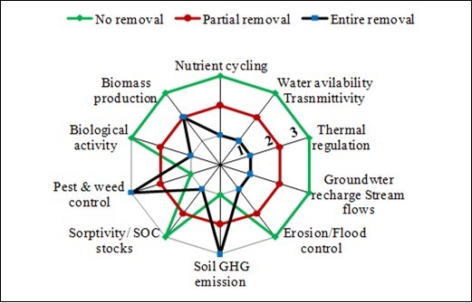 Journal of Agronomy Research-Aggregate stability