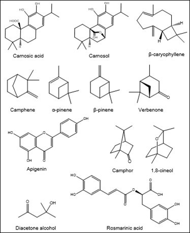 International Journal of Nutrition-Food preservative