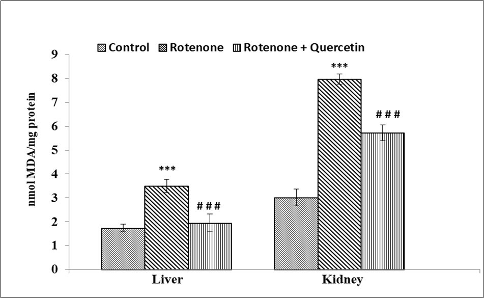 International Journal of Human Anatomy-Rotenone
