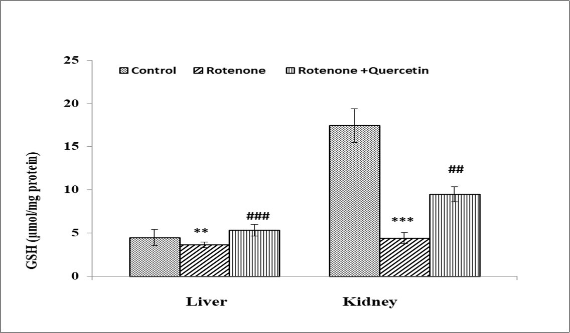 International Journal of Human Anatomy-Rotenone