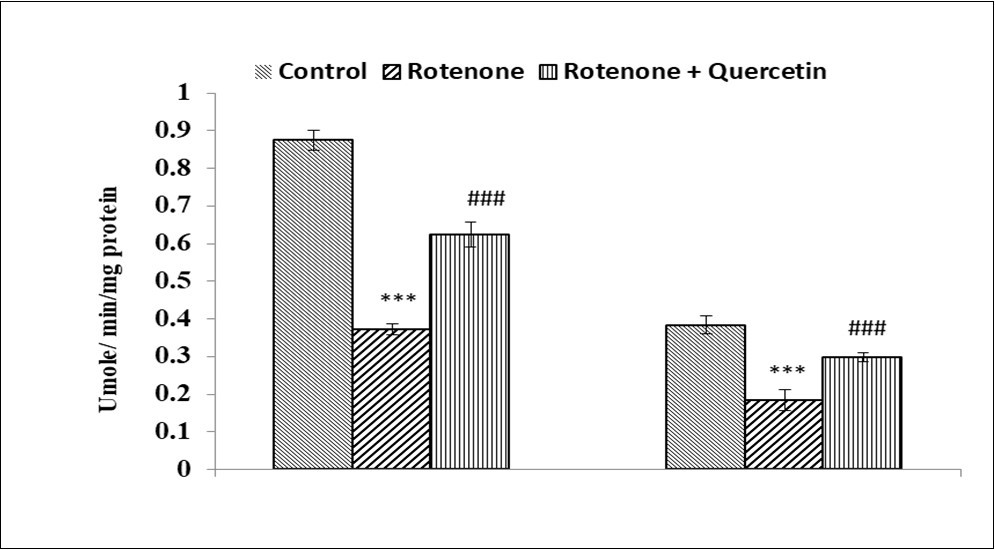 International Journal of Human Anatomy-Rotenone
