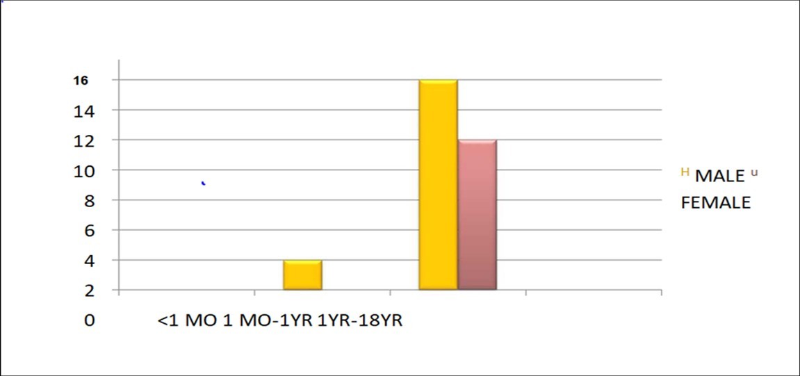 International Journal of Coronaviruses-SARS-CoV