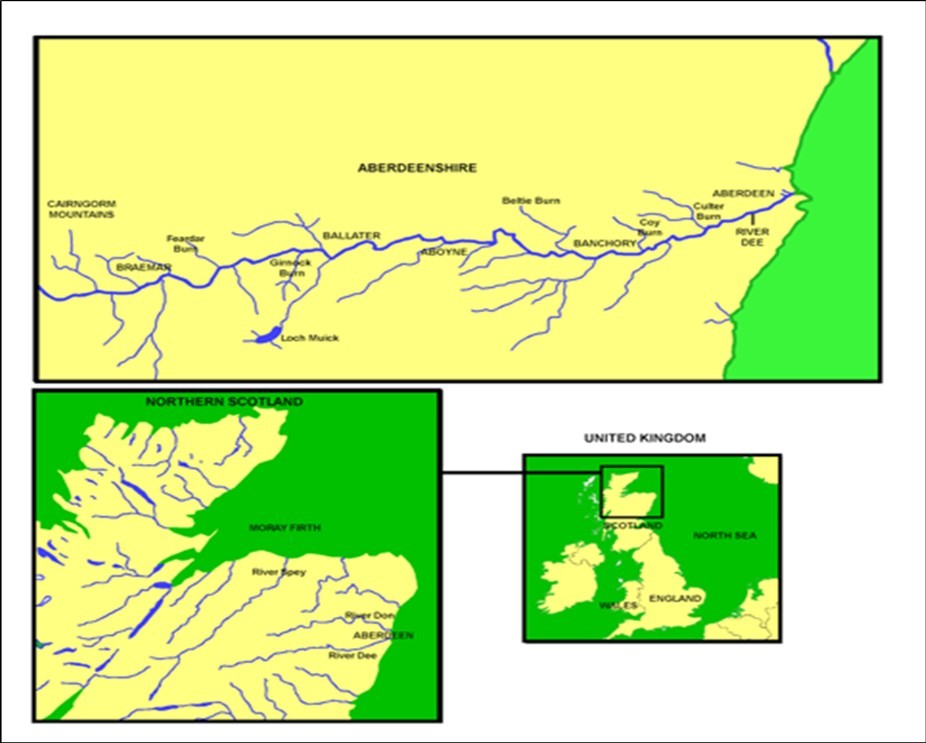 International Marine Science Journal-River