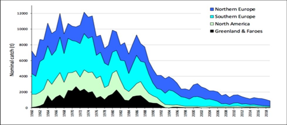 International Marine Science Journal-River