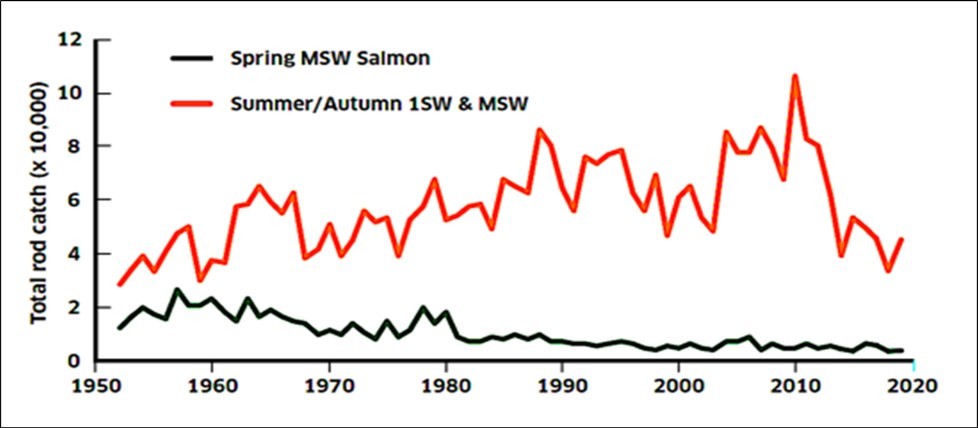 International Marine Science Journal-River