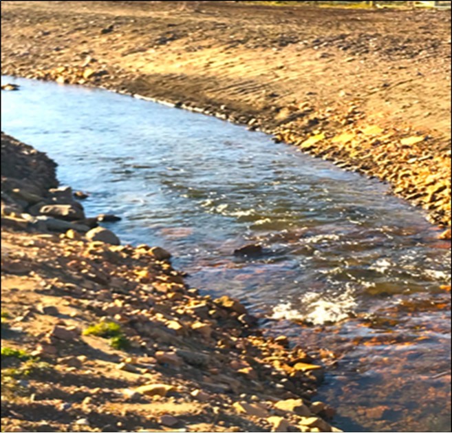 International Marine Science Journal-River