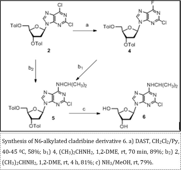 Journal of New Developments in Chemistry-Anticancer purine nucleoside