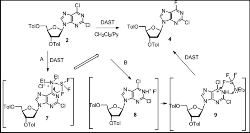 Journal of New Developments in Chemistry-Anticancer purine nucleoside