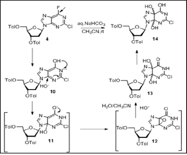 Journal of New Developments in Chemistry-Anticancer purine nucleoside