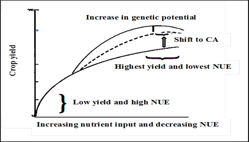 Journal of Agronomy Research-Conservation agriculture