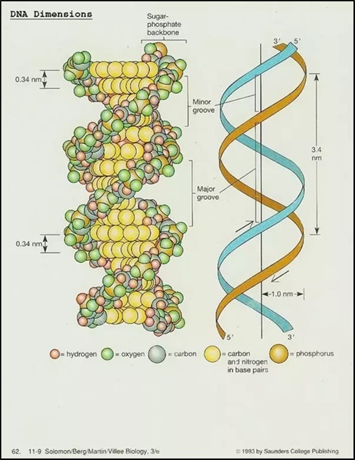 Journal of Medical Informatics and Decision Making-Origins of Life