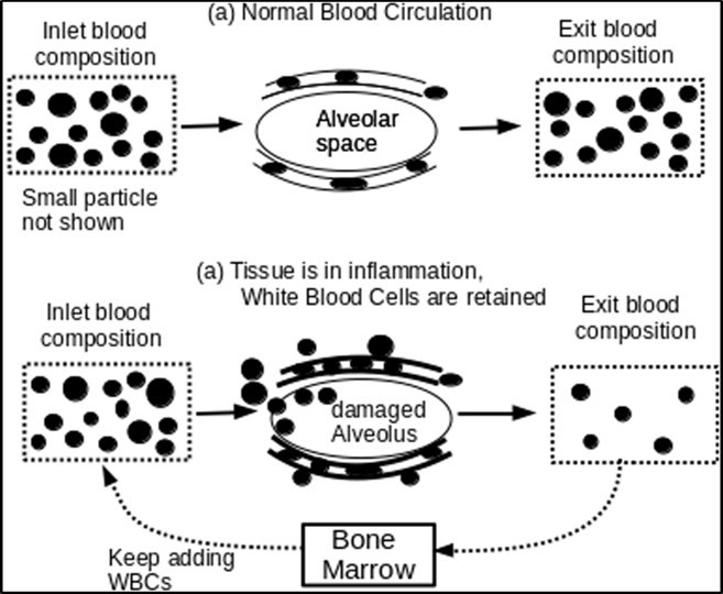 Journal of Respiratory Diseases-Coronavirus COVID-19