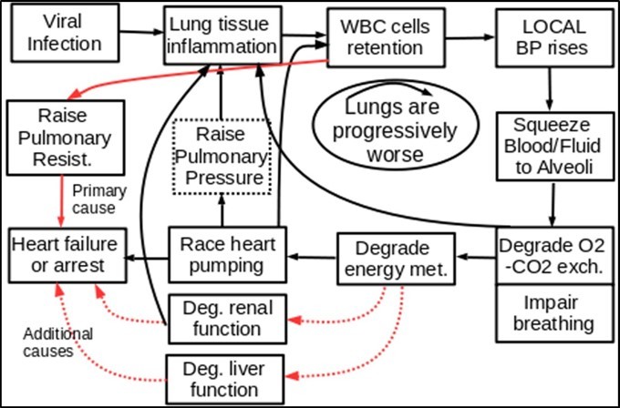 Journal of Respiratory Diseases-Coronavirus COVID-19