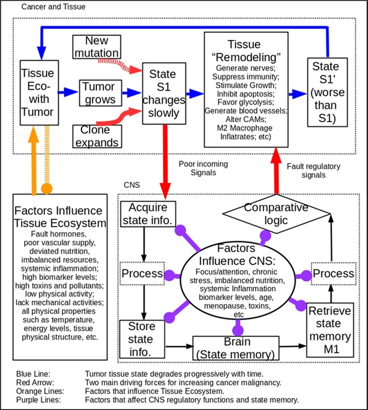 Journal of Colon And Rectal Cancer-Cancer theory