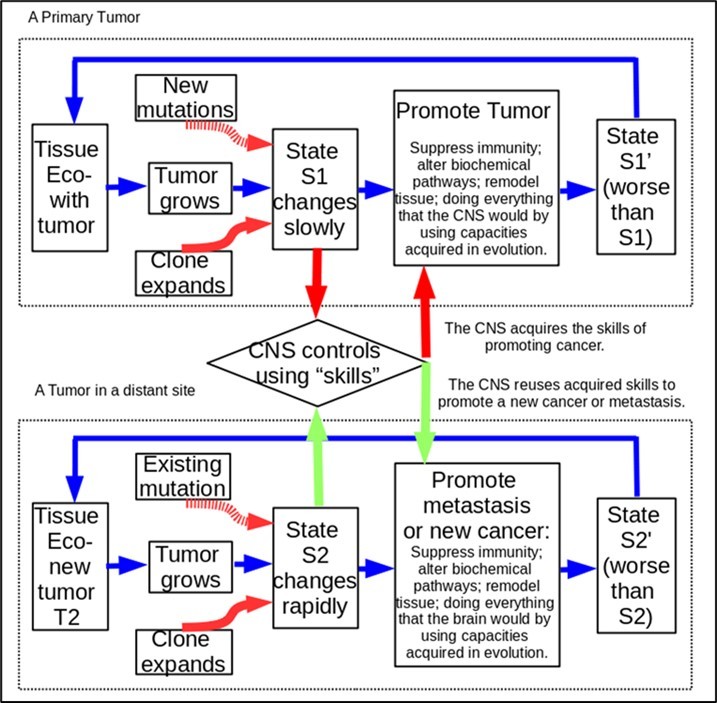 Journal of Colon And Rectal Cancer-Cancer theory