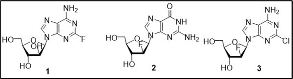 Journal of New Developments in Chemistry-Anticancer purine nucleoside