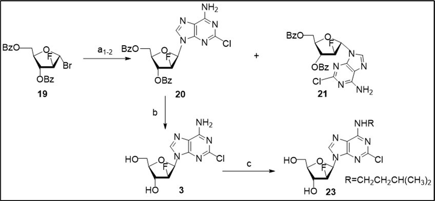 Journal of New Developments in Chemistry-Anticancer purine nucleoside