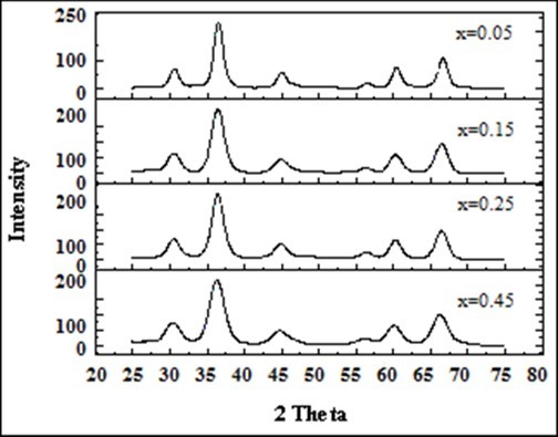 Journal of Biotechnology and Biomedical Science-ferrite particles