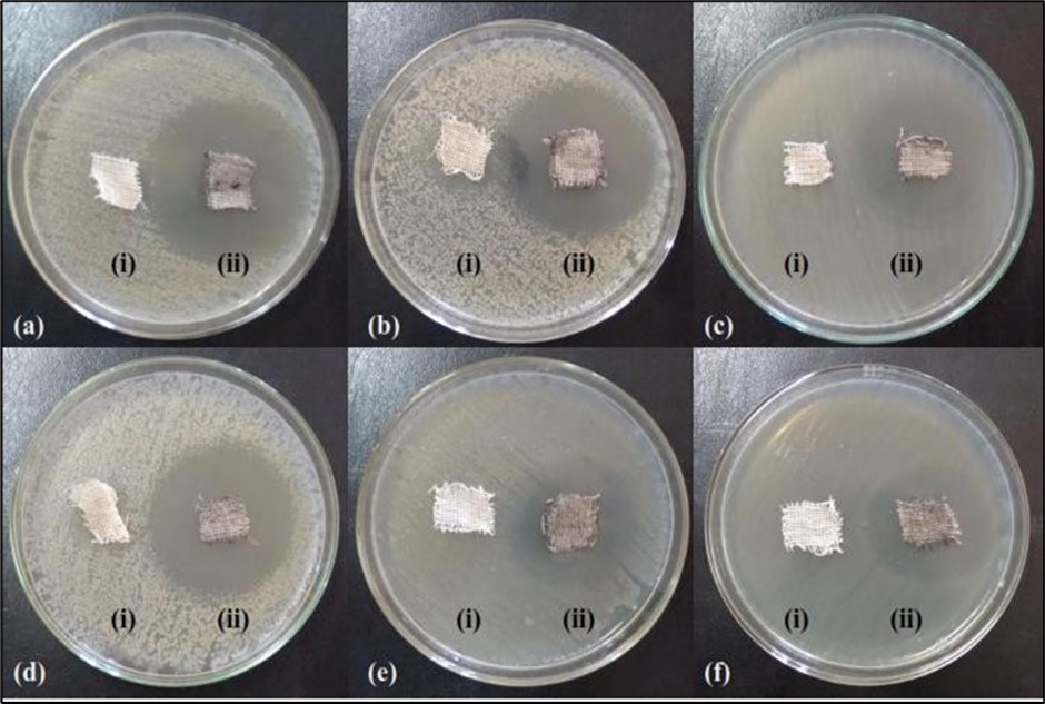 Journal of Biotechnology and Biomedical Science-ferrite particles