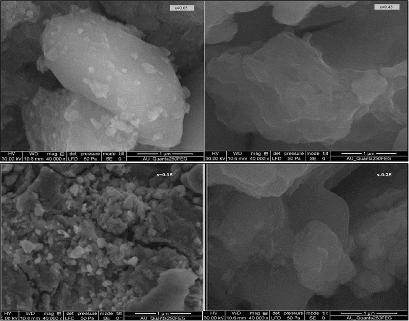 Journal of Biotechnology and Biomedical Science-ferrite particles