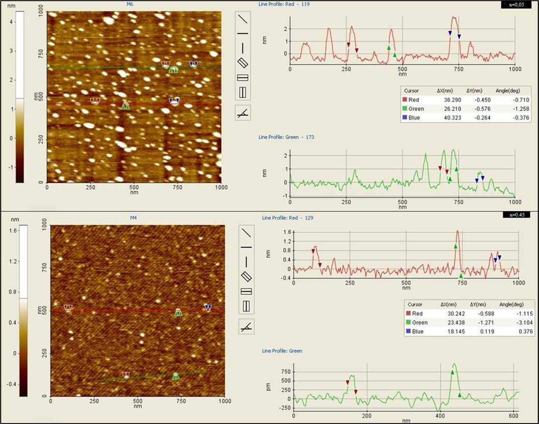 Journal of Biotechnology and Biomedical Science-ferrite particles
