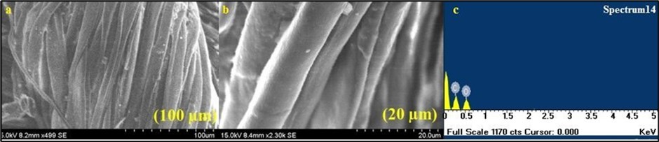 Journal of Biotechnology and Biomedical Science-ferrite particles