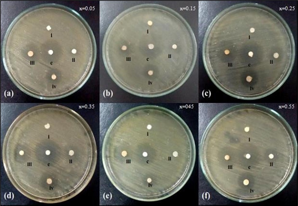 Journal of Biotechnology and Biomedical Science-ferrite particles