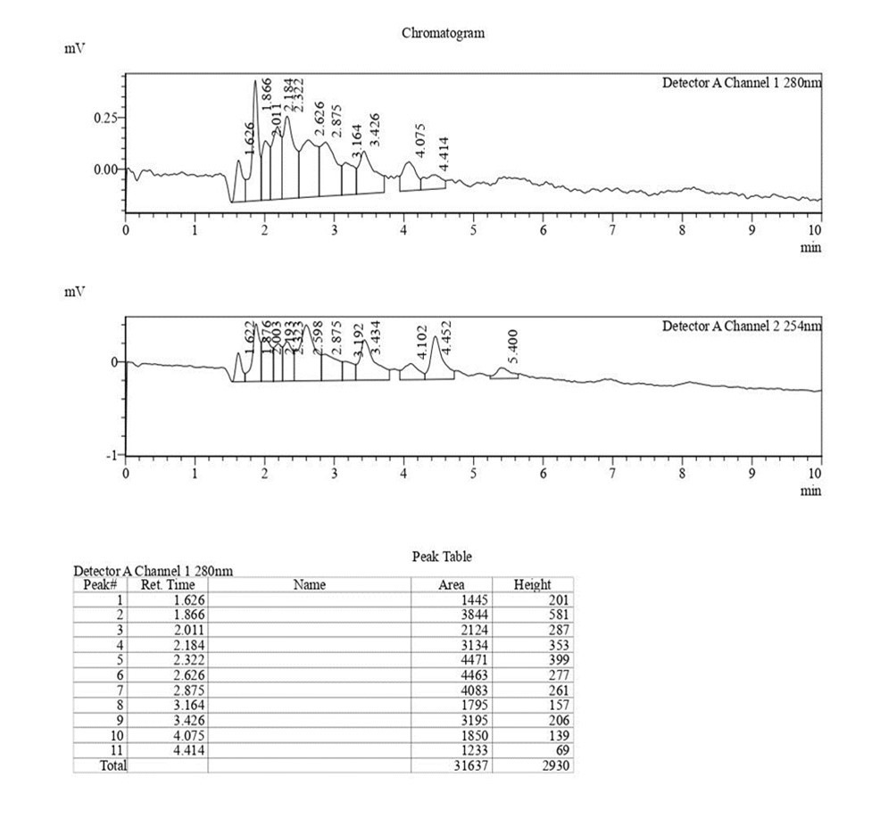 International Journal of Coronaviruses-SARS-CoV-2