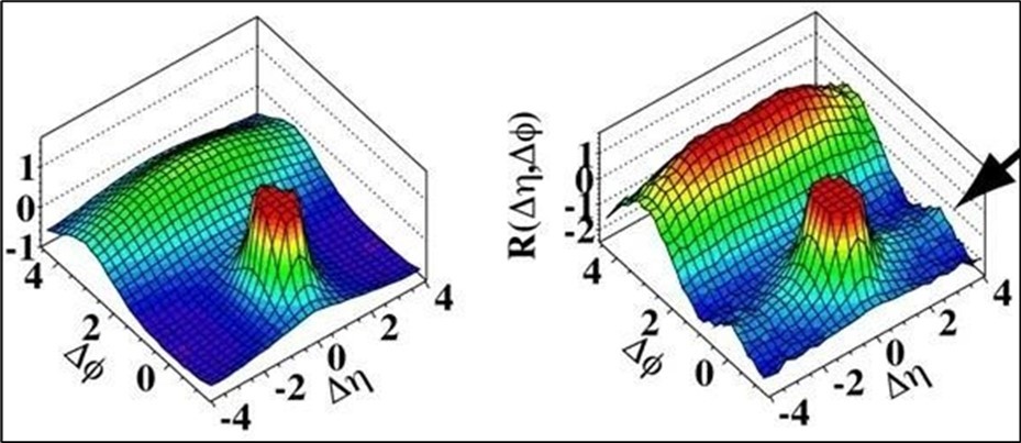 Journal of New Developments in Chemistry-CERN